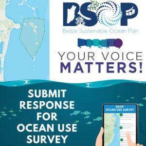 Ocean Use Survey