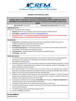 Implementation Plan Consultancy